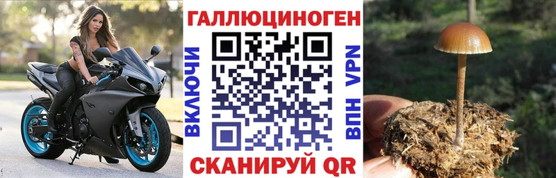 Псилоцибиновые грибы Psilocybine cubensis  Купить где  Нижний Ломов 